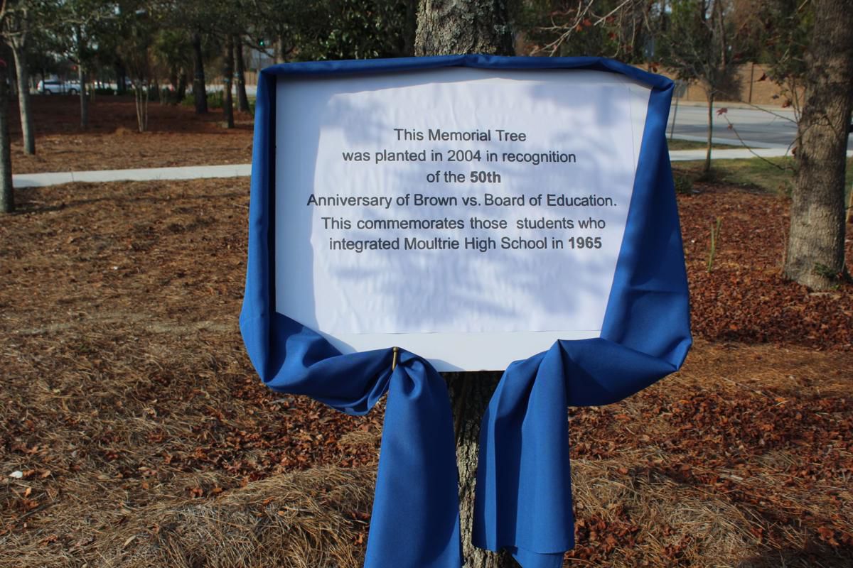 50th anniversary tree.jpg